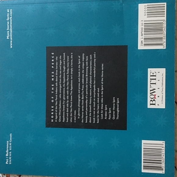 Appaloosa Spirit - Picture 3 of 4